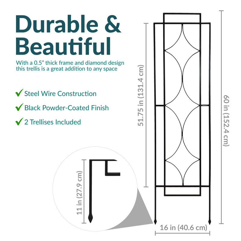 Abellas-Bauzo 2pc Steel Trellis, 60"H x 16"W x 0.5"D