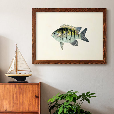 "Tropical Fish Collection VI", reproduction d'art sur toile