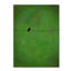 « solitaire oiseau green », reproduction d’art sur toile tendue-14807403