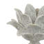 Porte-bougie de table, feuille de lotus sculpturale, gris moucheté, 10 po