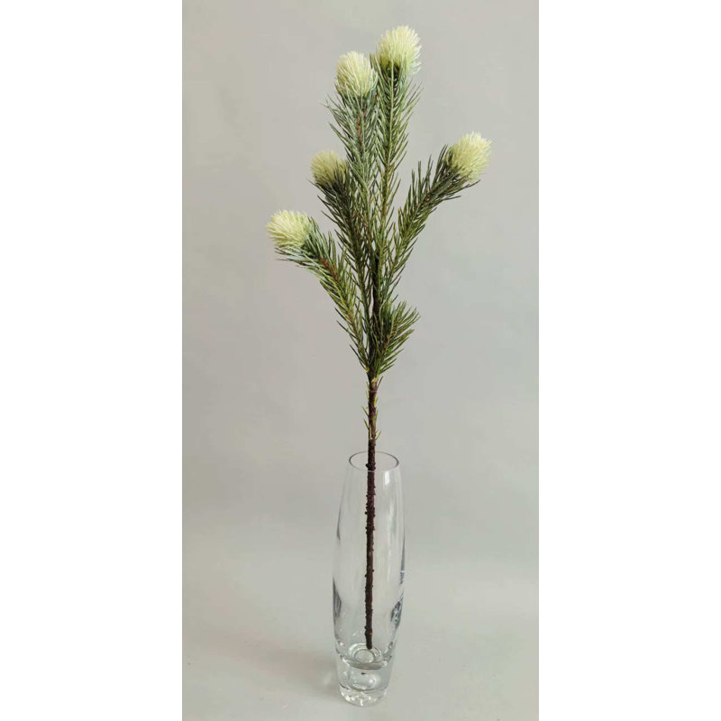 GOLD VELVET FRUITSX5 26''