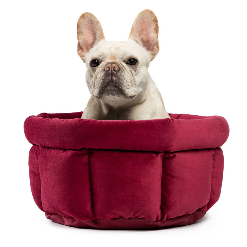 Beignet Cuddle Cup Pet, Vin