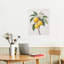 Lemon Branch With Blossoms, Built-In Wooden Frame Wall Art, 20L X 16W
