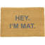 Olof Non-Slip Outdoor Doormat