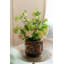 Vase de table, vase d'appoint en verre