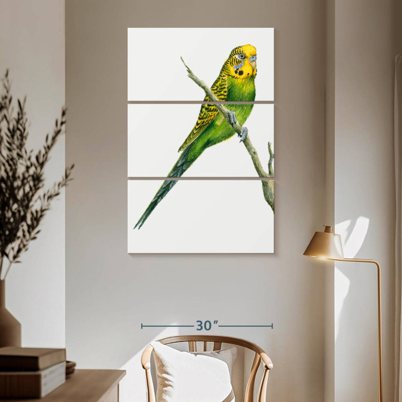 Brampt Perched Budgerigar, 65" H x 42" W