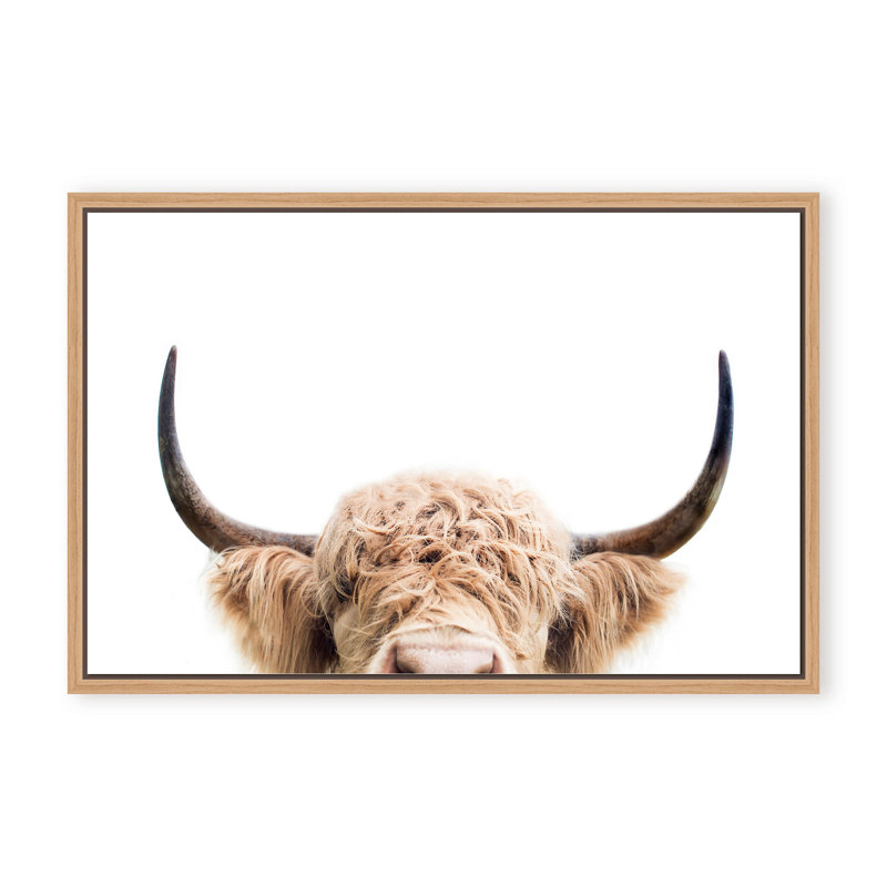 Nature Inspired Peeking Cow by  - Picture Frame Photograph on Paper, 32" H x 48" W x 1.125" D, Black, Framed Print