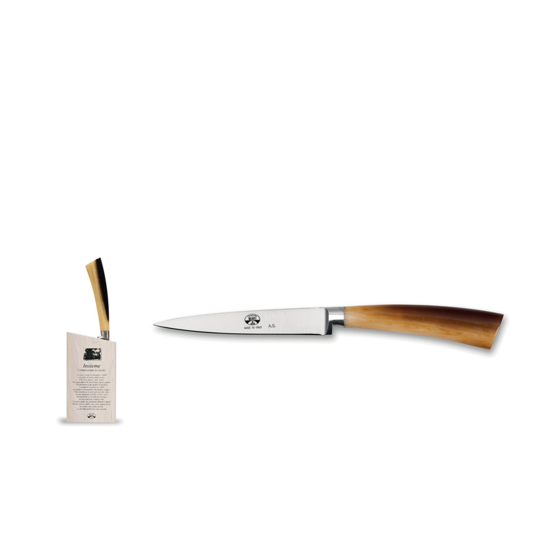 Plenum 2 - Piece Stainless Steel Knife Block Set, Cornotech, Simil Horn