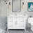 Tonora 42 in. W x 22 in. D Bath Vanity with Engineered Stone Top with Drawer Organizer-1792183009