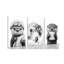 3 Piece Print-312881415