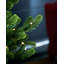 3' H Lighted Artificial Fir Christmas Tree