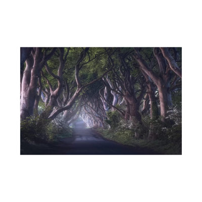 The Dark Hedges by Daniel Gastager - Wrapped Canvas Print