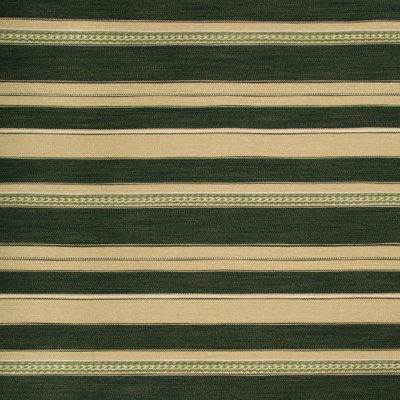 Entoto Stripe Fabric