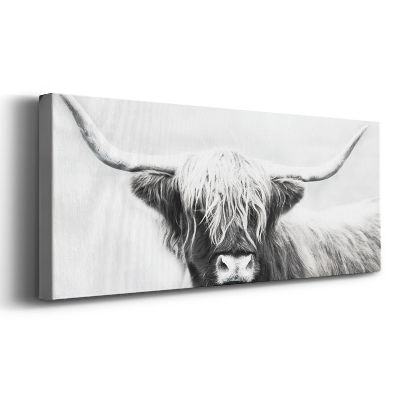 Highland Longhorn sur impression sur toile, H 20 po x l 50 po x P 1,5 po