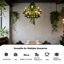 Luminaire suspendu Vintage Green Country
