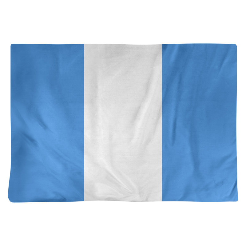 Récapitulatif 18" à rayures de football Houston, Bleu / Blanc