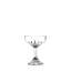 Set of 6 Tryst Coupe Glassses