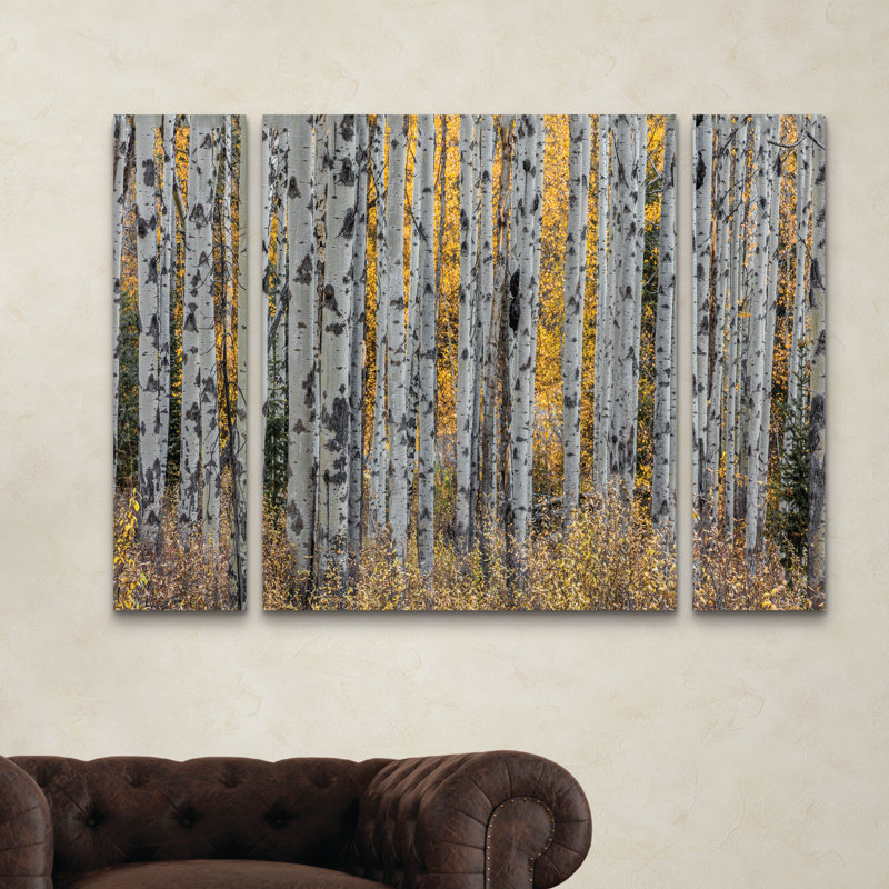 « aspen trees », reproduction de photo à multiples images sur toile tendue, H 30 po x l 41 po x P 2 po