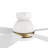 Smart DC Motor Ceiling Fan with LED Light, Remote control-2016644021-2074208054
