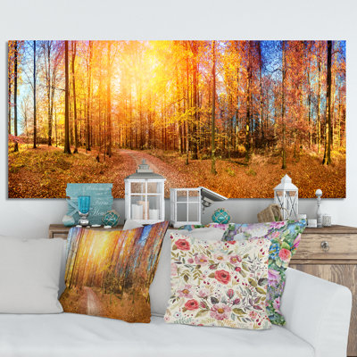 " Sunlight In Autumn Forest "