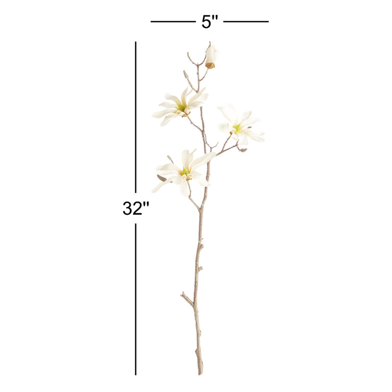 Magnolia Etoile, 32"