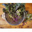 Prep & Savour Byers Mesh Colander-611116422
