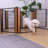 31.5'' H 6 Panel Metal Exercise Pen With Pet Door Outside Use-96069200
