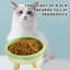 Bols pour animaux de compagnie détachables-119346604