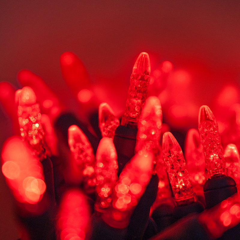 288'' LED String Lights, Red