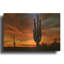 «Mesa Saguaro Sunset 5078» par Mike Jones, art mural en métal doré, 16 po x 12 po-133440975