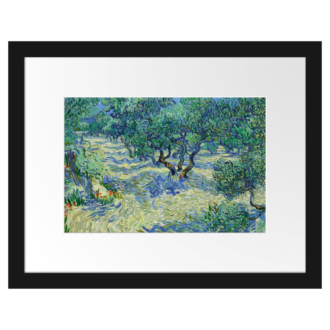 Gerahmter Kunstdruck Olive Field von Vincent Van Gogh