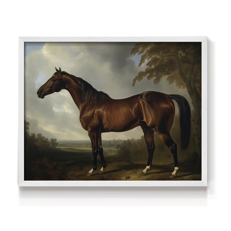 Faune, série LVII, reproduction encadrée, H 16 po x l 20 po, Blanc