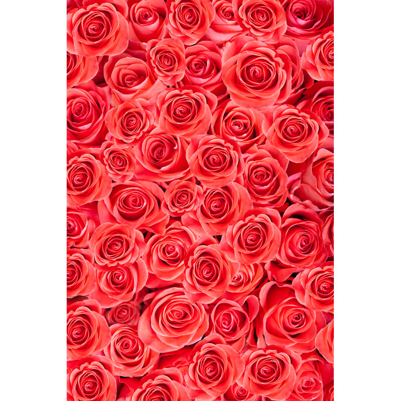 Red Roses Background - Wrapped Canvas Print, 46cm H x 30cm W