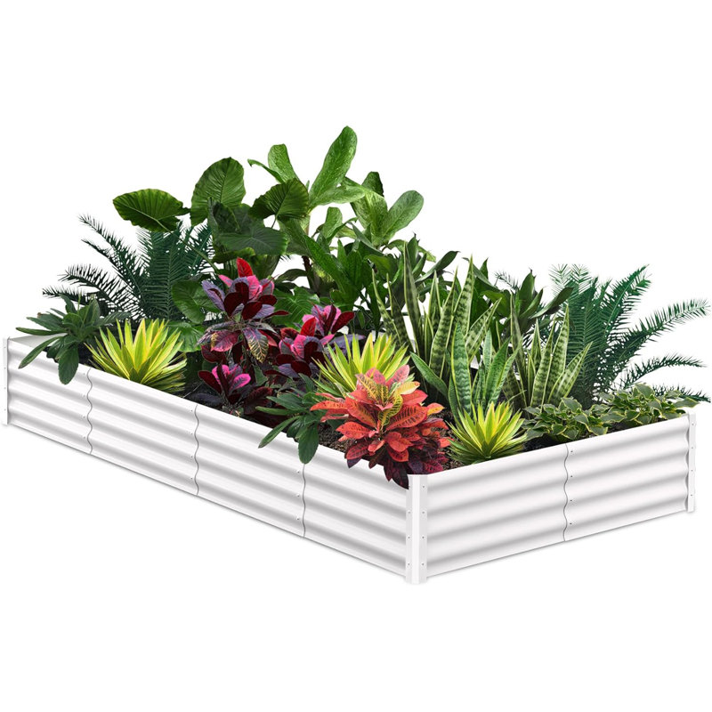 Outdoor Raised Garden Bed, 5 cm H x 15 cm W x 7.5 cm D, Beige
