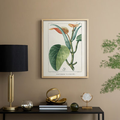 «Turpin Tropical Botanicals II», reproduction encadrée - bois massif