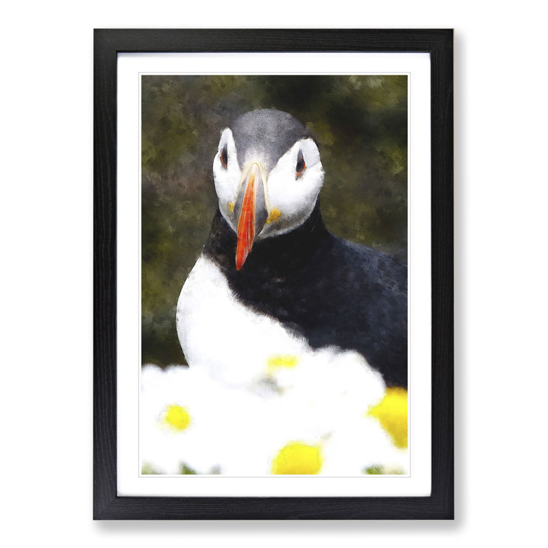 Atlantic Puffin Birds Vol.2 - Picture Frame Painting, 65cm H x 48cm W x 2cm D, Black Framed