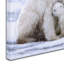 «Polar Bear Cubs», reproduction sur toile tendue-21936471