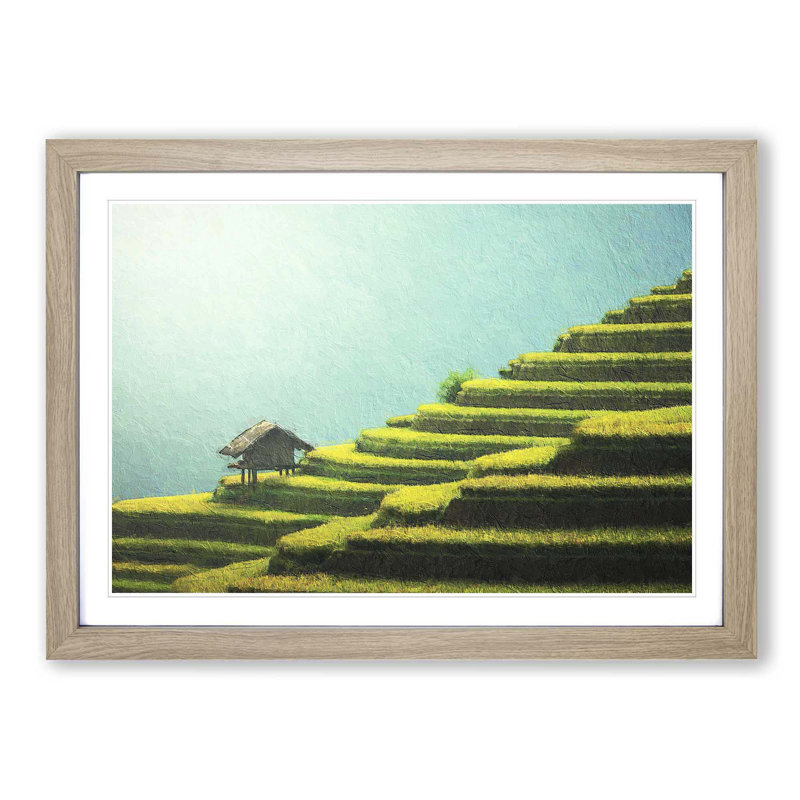 Rice Plantation in Cambodia - Picture Frame Painting Print, 27cm H x 36cm W x 2cm D, Oak Framed