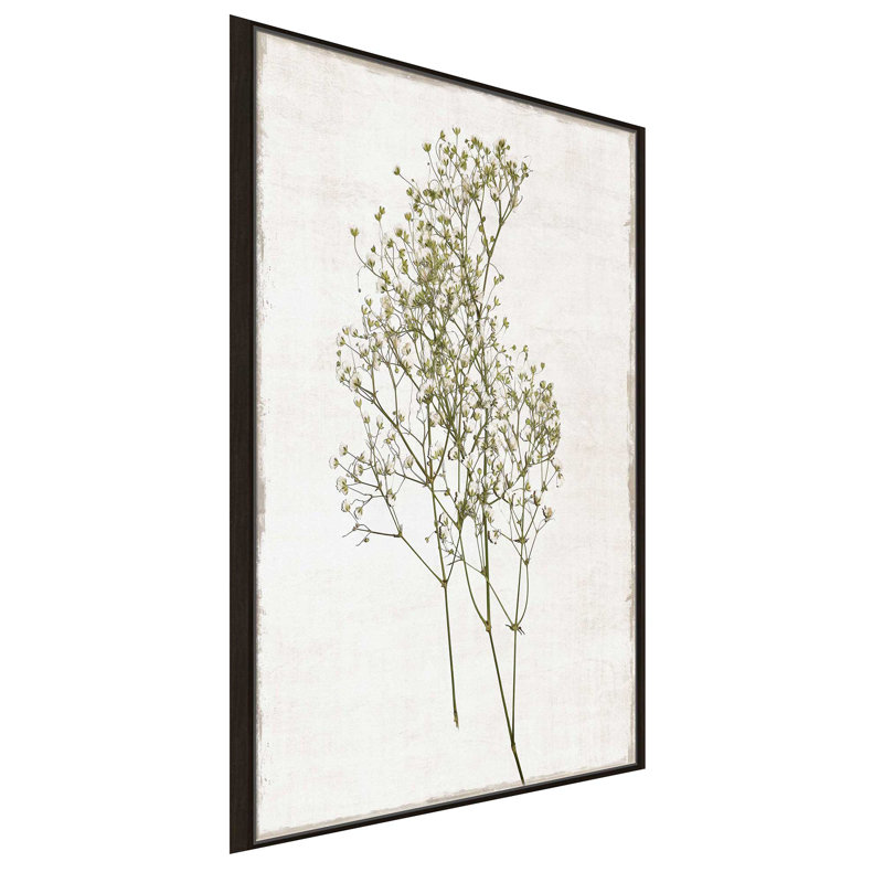Farmhouse Pressed Flower I - Peinture, L 21,5 po x H 33,5 po, Encadrement brun