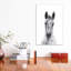 Poulain Appaloosa - reproduction d'art-53045610-53045611-53045612