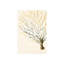 Piece From The Sea VI Print by Guseul Park-26946630-26946633