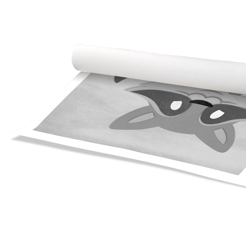 Impression sur papier Cheery Racoon, H 31 po x l 31 po x P 1 po, Papier