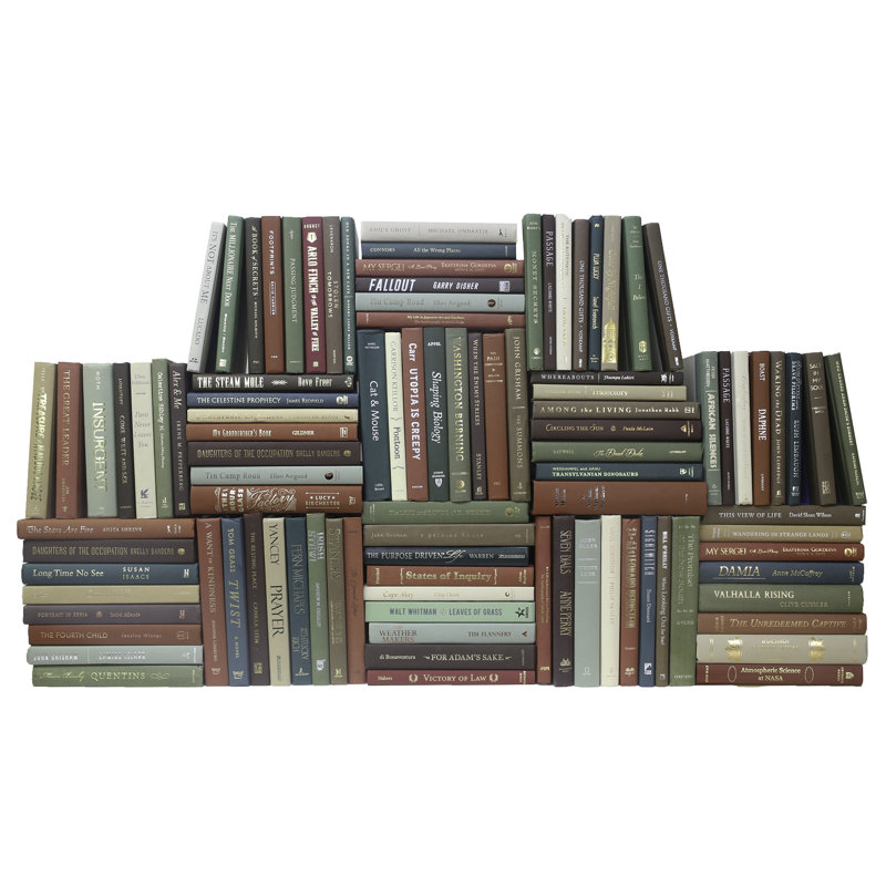 Modern Cabin Book Wall, 100