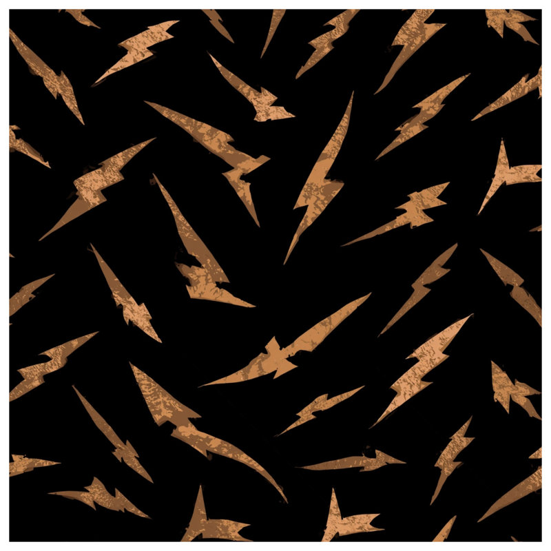 Rideaux de douche Lightning Bolt, 70in W x 72in H