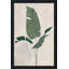 Palmier botanique II - Peinture-859631835-859631811