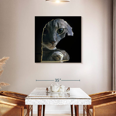 Souris de chasse Brampt