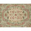 Hand Knotted Wool Area Rug in Green