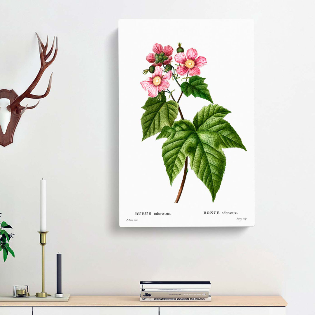 Blooming Raspberry Bush by Pierre-Joseph Redoute - Wrapped Canvas
