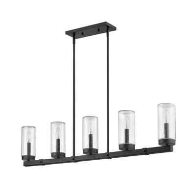 Sheniece 5 - Light Outdoor Chandelier