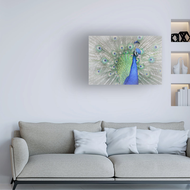 Art sur toile Yuzheng Ren Peacock, H 30 po x l 47 po x P 2 po